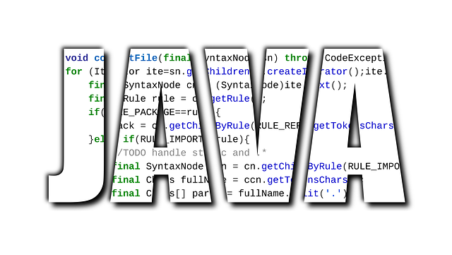 Tipos de lenguaje de programación de software Tipos de lenguaje de programación de software